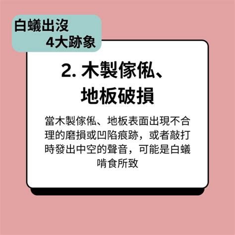 牆壁有白蟻|消滅白蟻攻略｜白蟻入屋數月可吃光家具 拆解4個入屋 